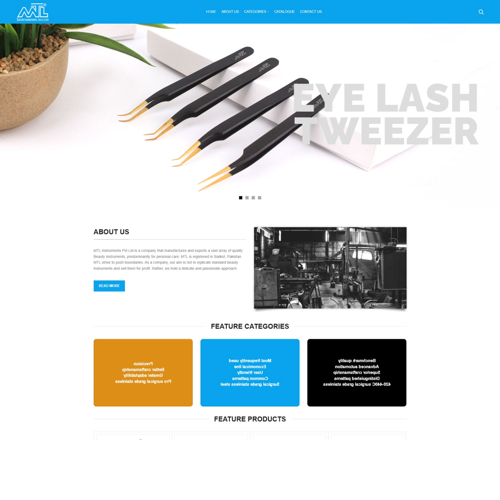Web design portfolio project by Amin'z Tech