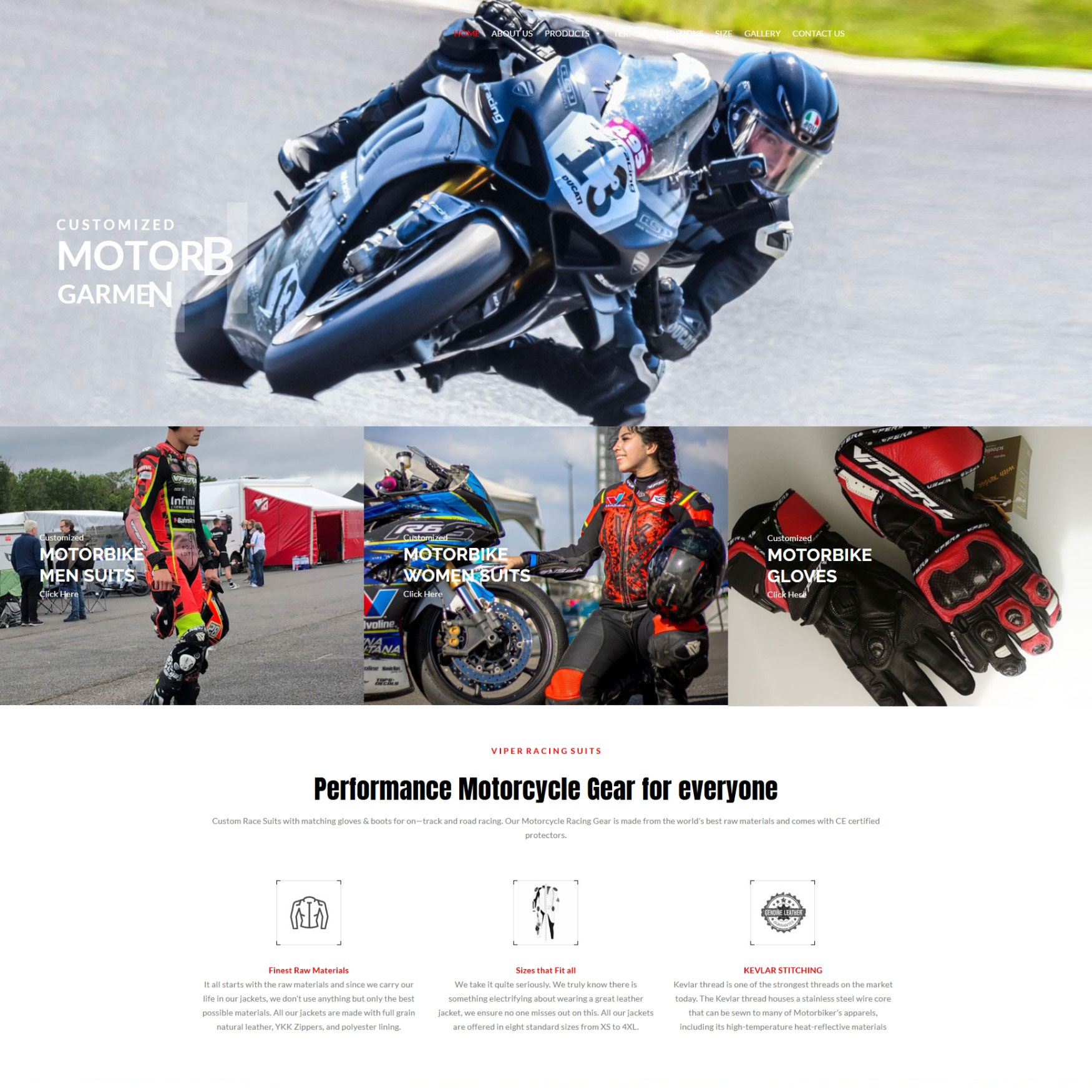 Web design portfolio project by Amin'z Tech